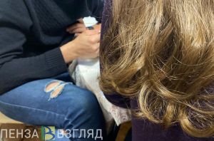 Пензенский психолог рассказал о перепадах настроения у курильщиков