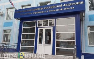 В Пензенской области 135 детей подверглись преступлениям сексуального характера