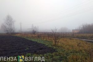Вильфанд предупредил жителей Пензенской области об аномально холодном 9 мая