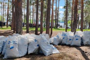 На Сурском водохранилище собрали 22 кубометра мусора