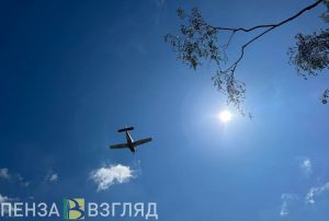 В Пензе отметили 80-летие Победы в Великой Отечественной войне: фотогалерея