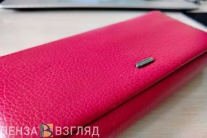 Пензенская область занимает 53-е место по динамике зарплат в России