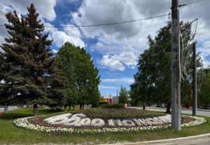 Пензу начали засаживать цветами