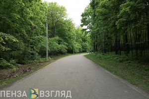 16 мая в Пензе пройдет традиционная легкоатлетическая эстафета