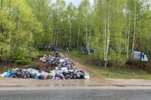 Кузнечанка пожаловалась губернатору на горы мусора около кладбища