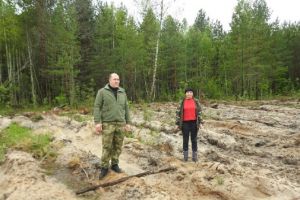 В Пензенской области создали около 800 км минерализованных полос