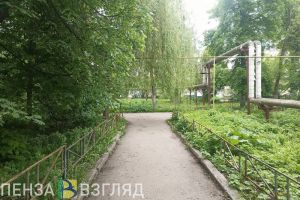 15 мая в Пензенской области прогнозируют до +19 градусов