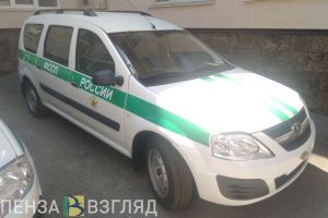 Пензенских приставов наказали за бездействие и волокиту