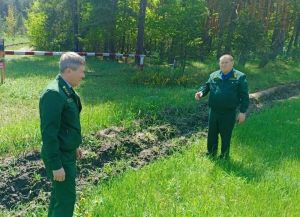 В Сердобском районе обустроили 732 километра минерализованных полос