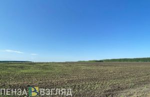 Администрация Пензенского района продавала земельные участки с нарушениями