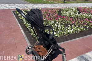 Пензенцам хотят дать дополнительный отпуск для повышения рождаемости