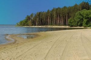 Пензенцев приглашают на акцию по уборке Сурского водохранилища