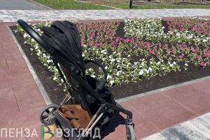 В Пензенской области появятся «социальные няни»