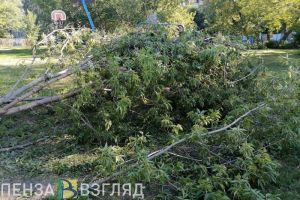 Ухудшение погодных условий ожидается в ближайшие часы в Пензенской области