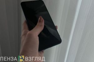 Жители Пензенской области подали более 45 тысяч заявлений на получение госуслуг