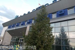 Авиакомпании обяжут сажать пензенцев рядом с их детьми