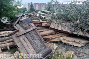 Пензенские власти велели снести самовольную постройку в Дальнем Арбеково