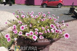 В июне 2025 года жителей Пензенской области ожидают 11 выходных