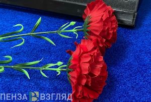 В Пензе появится памятник участникам СВО ко Дню города