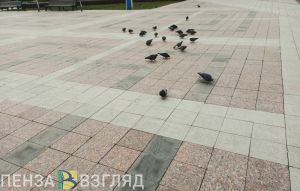 Звезда «Молодежки» (18+) призвал пензенцев голосовать за объекты благоустройства