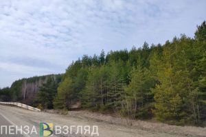 В 3 районах Пензенской области прогнозируют третий класс пожарной опасности
