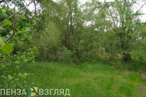 Пензенский Россельхознадзор проведет проверку по заброшенному земельному участку