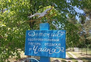 Стало известно, какие работы выполнены в лагере «Чайка» в Сердобском районе