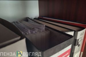 В Пензенской области решили, как проводить служебные проверки чиновников