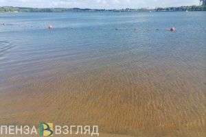 Денисов о местах купания: «У нас еще нет результатов лабораторных исследований»