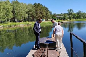 Аномалия: специалист из Перми объяснил, почему «цветут» пруды в Заречном