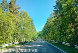 В Пензенской области ввели ограничение на посещение лесов