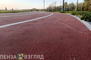 В Пензенской области пройдет «Зеленый марафон» (0+)