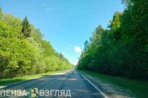 В Пензенской области 31 мая прогнозируют высокую пожарную опасность