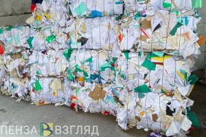 Жители Пензенской области за 2 месяца сдали более 8 тонн макулатуры