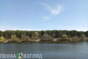 В Пензенской области за пожарной безопасностью следят с помощью БПЛА