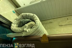 Головой от окна: как пензенцам ездить в поездах после ЧП в Брянской области