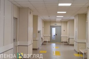 Строительство ПЭТ-центра, показ реликвии и град с куриное яйцо: новости Пензы и области за 4 июня