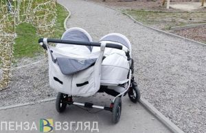 Для пензенцев упростят получение маткапитала
