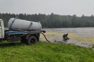 Зареченцев приглашают очистить от водорослей пруд в зоне отдыха «Лесная»