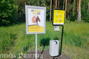 В Заречном установили урны для отходов жизнедеятельности собак