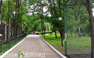 В Пензенский зоопарк приехали самки северного оленя и зебры из Челябинска