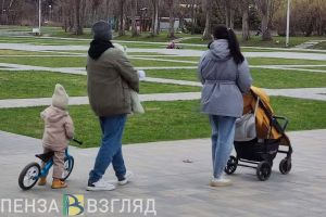 Пензенцам упростят доступ к маткапиталу