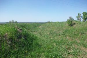В районах Пензенской области проведут археологические исследования