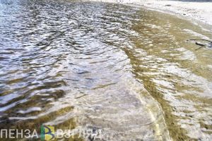 На 4 водоемах Пензенской области превышено число патогенов в воде
