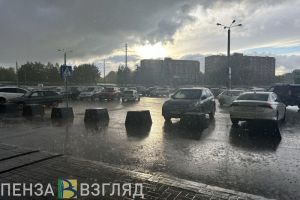 25 градусов тепла и дождь прогнозируют синоптики в Пензенской области 15 июня
