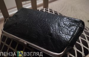 Пензенским беременным студенткам могут повысить пособия