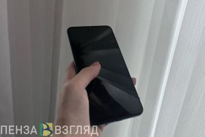 Аферисты придумали новый способ обмана пензенцев