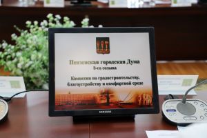 В Пензе в очереди на получение земельных участков стоят 119 многодетных семей
