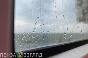 23 градуса тепла и гроза: прогноз погоды на 19 июня в Пензе и области