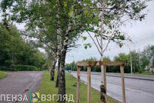22 июня в Пензенской области потеплеет до +21 градуса